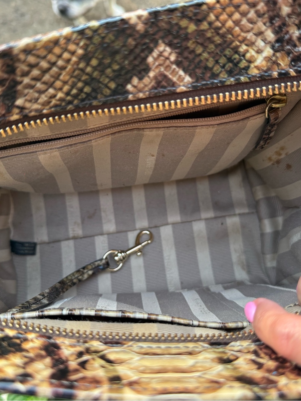 Brahmin Mini Priscilla Crossbody Satchel Python Travertine Ballington Melbourne - Picture 13 of 16